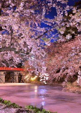 Авторский тур "Весенние краски Японии"
